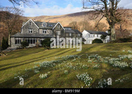 Borrowdale Gates Hotels Grange in Borrowdale Cumbria England mit Krokussen und Frühlingsblumen Stockfoto