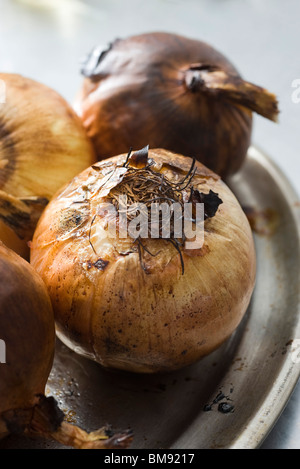 Zwiebeln Stockfoto