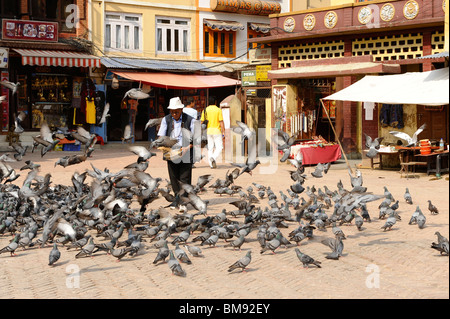 alte tibetische Mann füttern Tauben in Boudhanath, eine der heiligsten buddhistischen Stätten in Kathmandu, Nepal Stockfoto