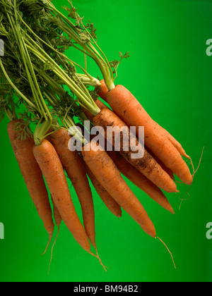 Bio-Karotten Stockfoto