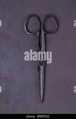 Alte rostige Friseur Schere Stockfoto