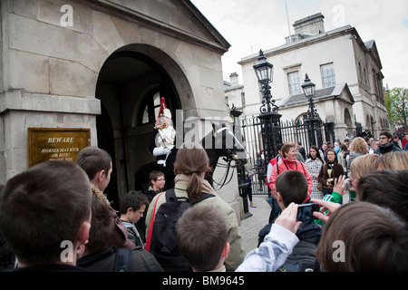 Montierten Soldat der "Blues and Royals" Household Cavalry, steht Wache draußen Horseguards Parade, Whitehall, Lndon. Stockfoto