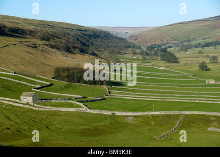 Littondale nahe dem Dorf von Arncliffe, Yorkshire Dales National Park, England, UK.  Brootes Scheune im Vordergrund. Stockfoto