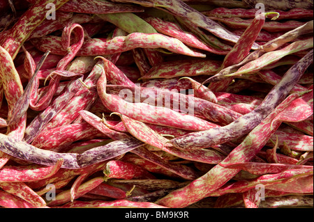 rote Stangenbohnen, Marktstand, Italien Stockfoto