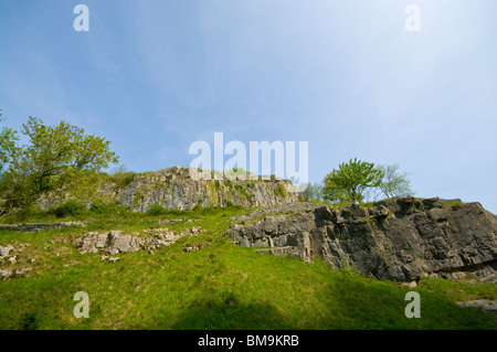 Die Kalksteinfelsen der Cheddar Gorge Somerset England Stockfoto