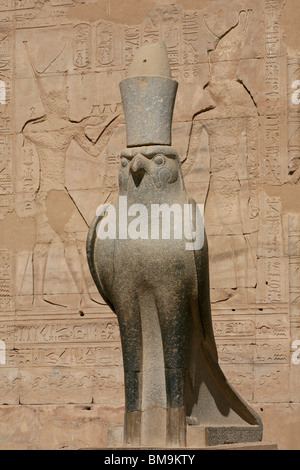 Statue des Falken Gottes Horus im Horus Tempel in Edfu, Ägypten Stockfoto
