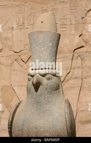 Statue des Falken Gottes Horus im Horus Tempel in Edfu, Ägypten Stockfoto