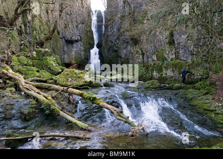 Catrigg Force Wasserfall, in der Nähe von Stainforth in Ribblesdale, Yorkshire Dales National Park, England, UK. Stockfoto