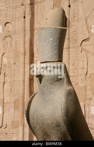 Statue des Falken Gottes Horus im Horus Tempel in Edfu, Ägypten Stockfoto