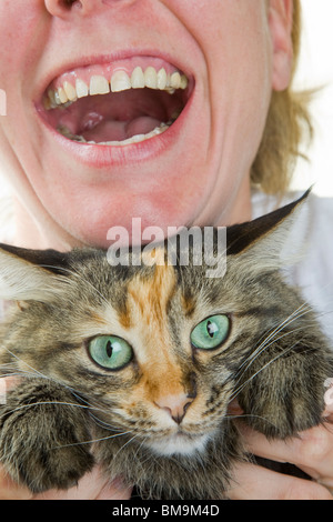 Katze und lachende Frau. Haben Sie noch Spaß? Stockfoto