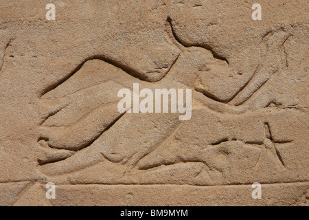 Detail Vogel Reliefs an den Wänden der Tempel des Horus in Edfu, Ägypten Stockfoto