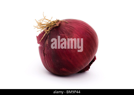 ganz Bio rote Zwiebel auf weißem Hintergrund Stockfoto