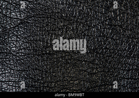 glänzend schwarzem Leder für Hintergrund oder Textur Stockfoto