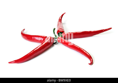 Red hot Chilli Cayennepfeffer isoliert auf weiß Stockfoto