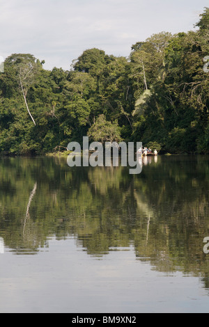 OX-Bow See in Manu Nature Reserve, peruanischen Amazonas Stockfoto