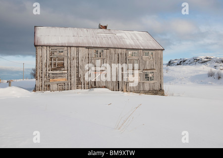 Mit Brettern vernagelt Haus in Fredvang, Moskensoy, Loftofen, Norwegen Stockfoto