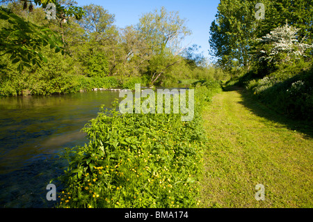 Blick auf den Fluß Nadder am Rande von Harnham Auen Stockfoto