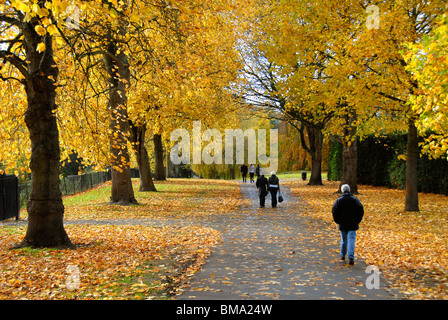 Passanten in einem Park, Herbst, Cardiff, Wales, Großbritannien, Europa Stockfoto