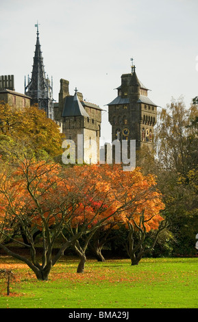 Cardiff Castle, Bäume mit farbigen Blätter, Park, Cardiff, Wales, Großbritannien Stockfoto