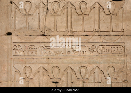 Hieroglyphen an den Wänden der Tempel des Horus in Edfu, Ägypten Stockfoto