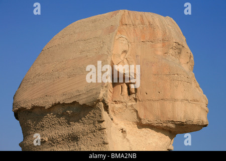 Nahaufnahme des Kopfes der Große Sphinx von Gizeh, Ägypten Stockfoto