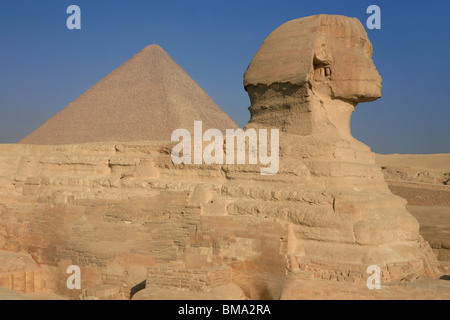 Die große Sphinx von Gizeh mit der Cheops Pyramide in Gizeh, Ägypten im Hintergrund Stockfoto