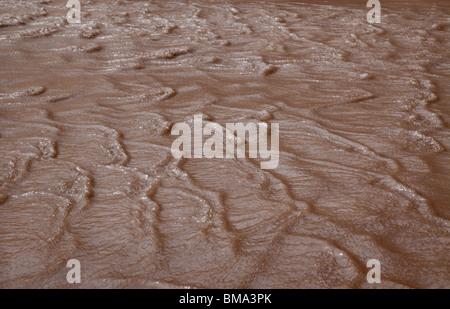 Antidunes in Medano Creek, Great Sand Dunes National Park, Colorado Stockfoto