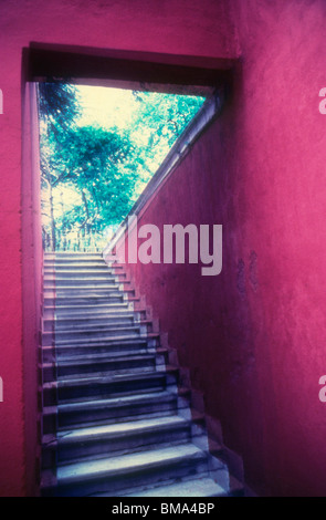 Treppe bis zum Licht. Keller. Stockfoto