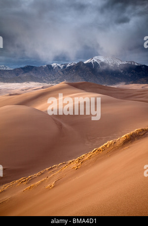 Regen Sie über Dunefield mit Sangre De Cristo Mountains, Great Sand Dunes National Park, Colorado Stockfoto