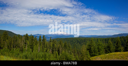 Gifford Pinchot National Forest, WA: Panoramablick des Mount St. Helens Stockfoto