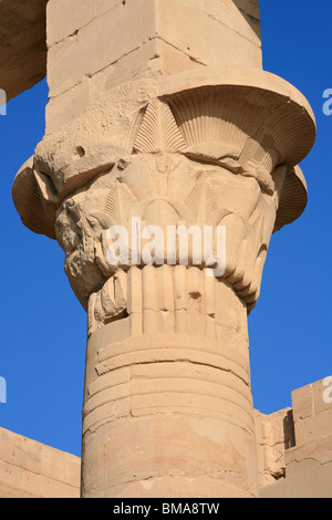 Detail einer Hauptstadt der Trajan Kiosk im Philae Tempel auf Agilka Insel im oberen Ägypten Stockfoto