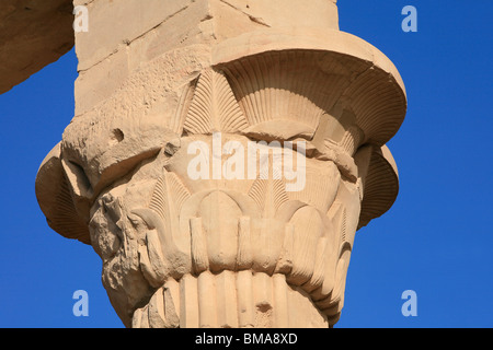 Detail einer Hauptstadt der Trajan Kiosk im Philae Tempel auf Agilka Insel im oberen Ägypten Stockfoto