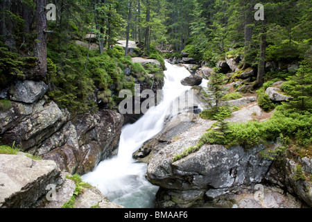 Hohe Tatra - Studenovodske Wasserfälle - Slowakei Stockfoto