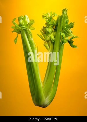 Essen-Buchstabe V Stockfoto