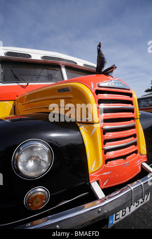 Ein alten altmodischen "Bullnose" Bus hell gelb rot lackiert & weiß befindet sich von der Triton-Brunnen zentrale Busbahnhof Malta Stockfoto