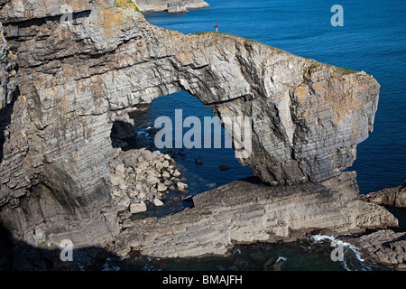 Frau Walker an der grünen Brücke Pembrokeshire Wales UK Stockfoto