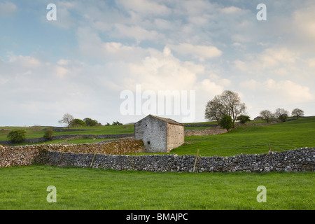 Yorkshire Dales steinernen Scheunen und Wände beleuchtet von der Abendsonne in Wharfedale, England Stockfoto