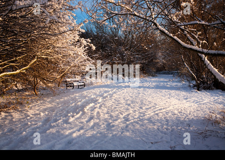 Parkbank und Tiefschnee an Charlies Teich, Billingham, Cleveland, England Stockfoto