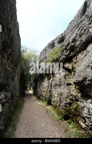 karstige Felsformation, die Rodelbahn, verzauberte Stadt / "Ciudad Encantada, Provinz Cuenca, Kastilien-La Mancha, Spanien Stockfoto