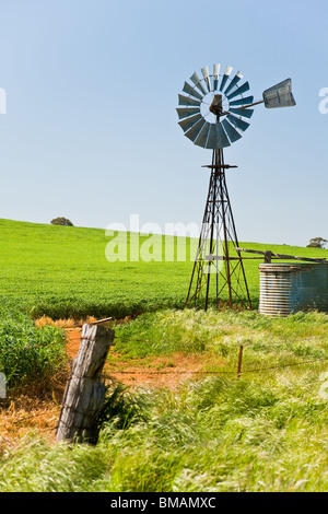 Windmühle in grünen Pflanzen Südaustralien Stockfoto