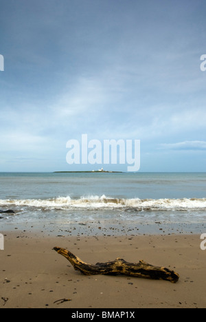 Treibholz am Strand von Druridge Bay, Northumberland, England. Stockfoto