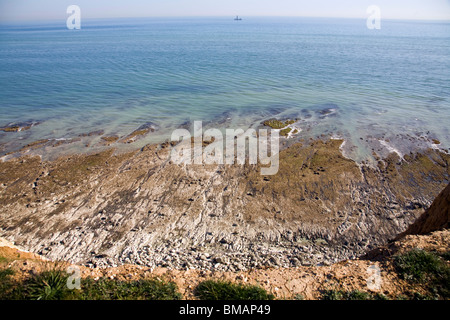 Die Felsen und das Meer von oben auf einem Kreidefelsen entlang der Küste von Sussex betrachtet Stockfoto