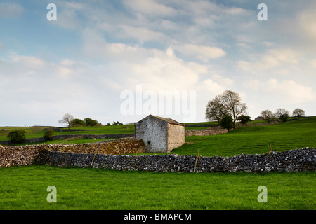 Yorkshire Dales steinernen Scheunen und Wände beleuchtet von der Abendsonne in Wharfedale, England Stockfoto