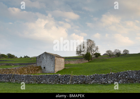 Yorkshire Dales steinernen Scheunen und Wände beleuchtet von der Abendsonne in Wharfedale, England Stockfoto