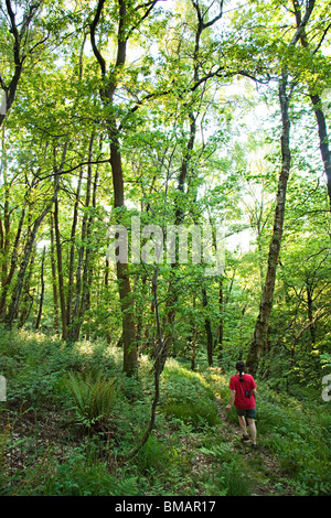 Woman walking in woodland Llanfoist Wales UK Stockfoto