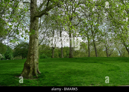 Green Park, London Stockfoto