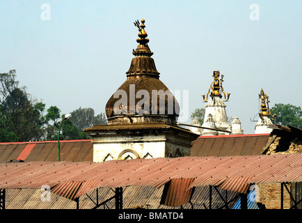 Pashupatinath Tempel, Heiligen Bagmati-Fluss, Kathmandu, nepal Stockfoto