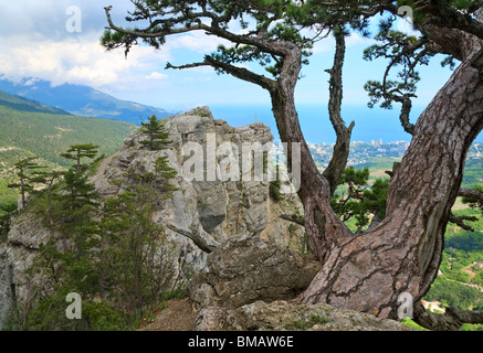 Blick auf die Stadt Jalta vom Berg Aj-Petri Hang (Trail botanischen, Krim, Ukraine) und Christian Kreuz am Felsen oben. Stockfoto