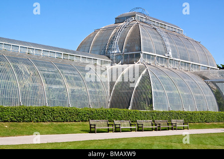 Palm House Kew Gardens Stockfoto