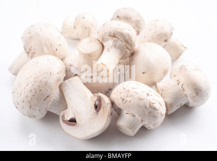 Handvoll Champignons auf weißem Hintergrund Stockfoto